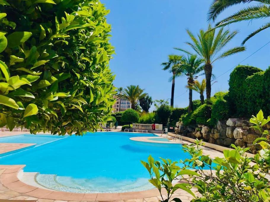 Apartment Front De Mer, 8min Du Palais Des Festivals *